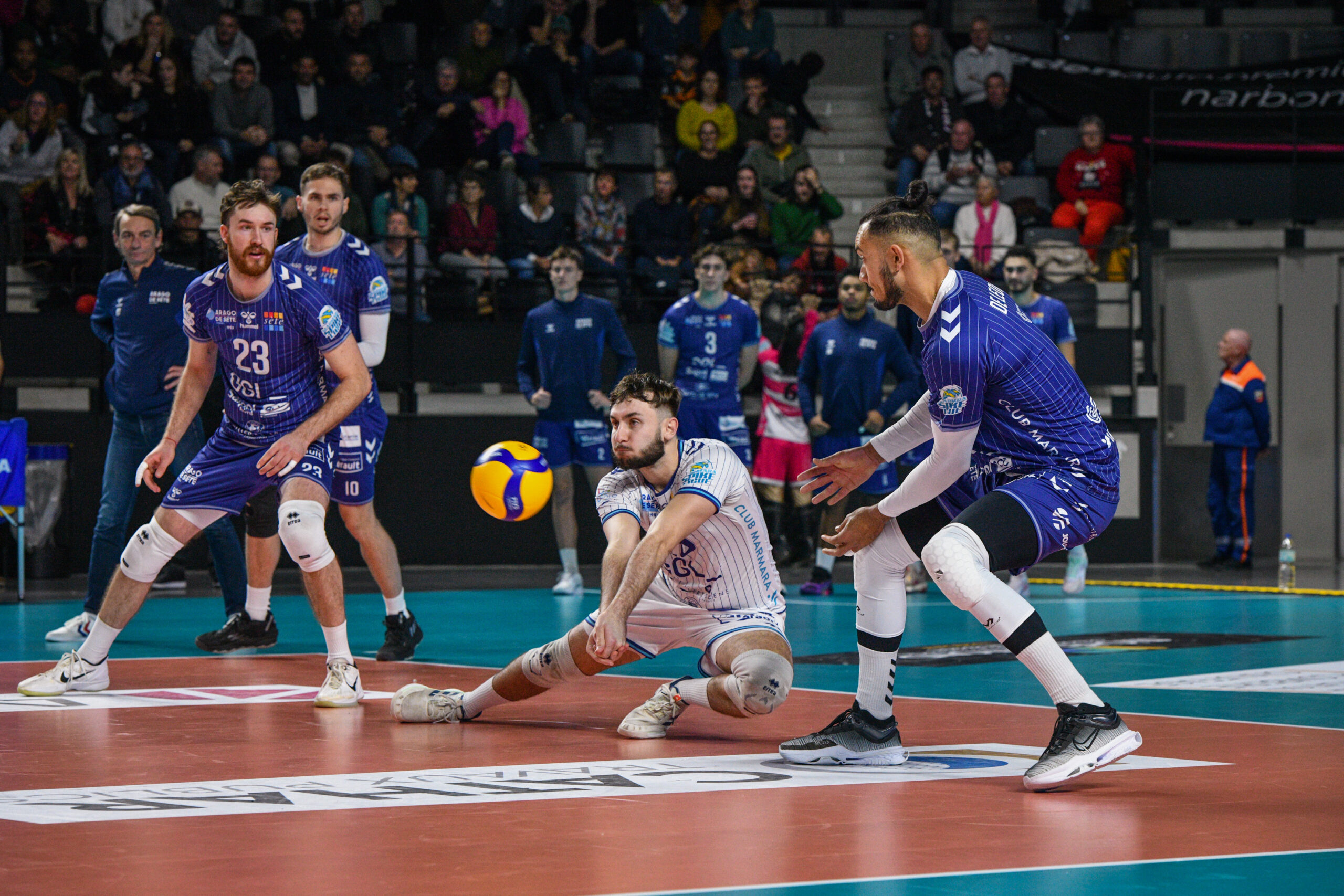 L’après-match : Narbonne vs Arago (MSL – J12)